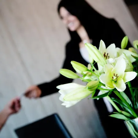 拜尼库洛酒店 酒店 布莱尼