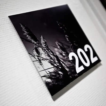 拜尼库洛酒店 酒店 布莱尼