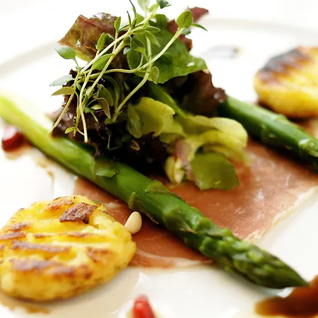 酒店 拜尼库洛酒店 布莱尼