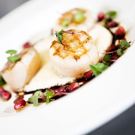 酒店 拜尼库洛酒店