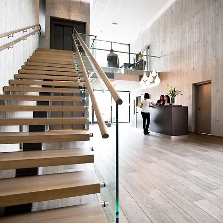 拜尼库洛酒店 2* 布莱尼