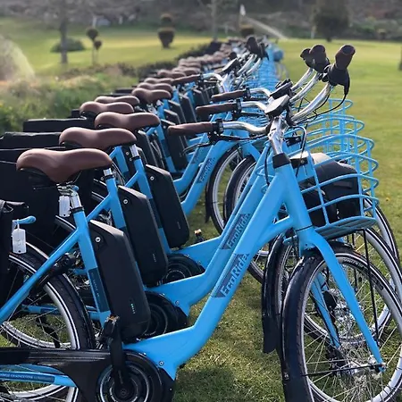 酒店 拜尼库洛酒店 布莱尼